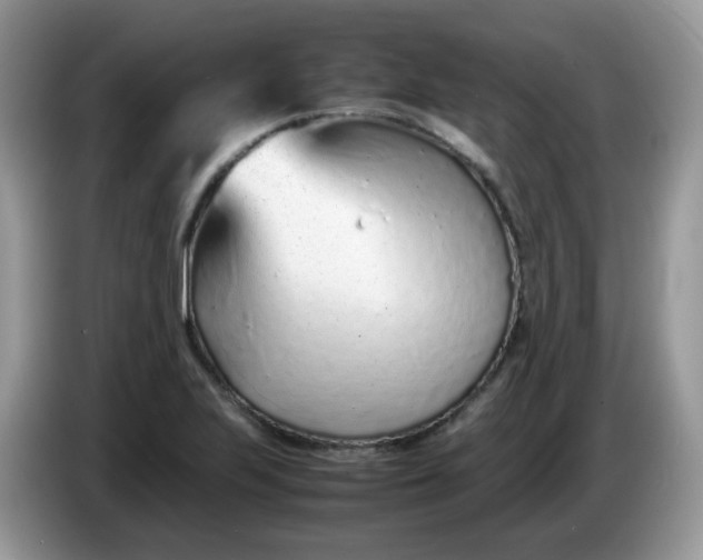 X0000086231223200704121909