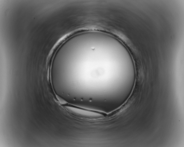 X0000086231224200704121909