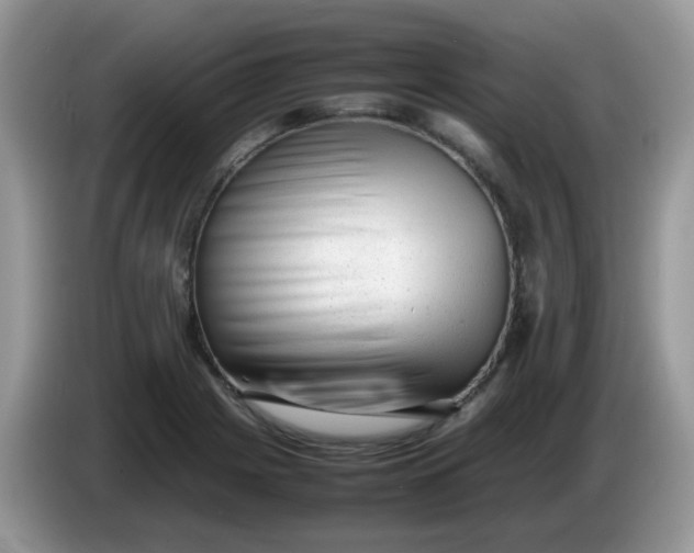 X0000086231225200704121909