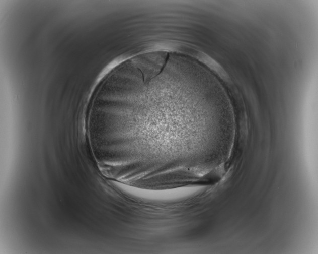 X0000086231226200704121909