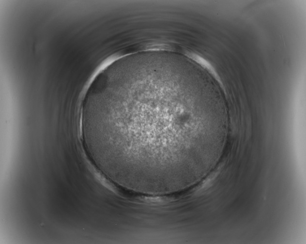 X0000086231227200704121909