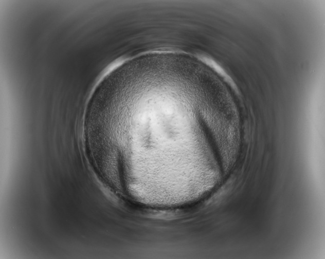 X0000086231229200704121909