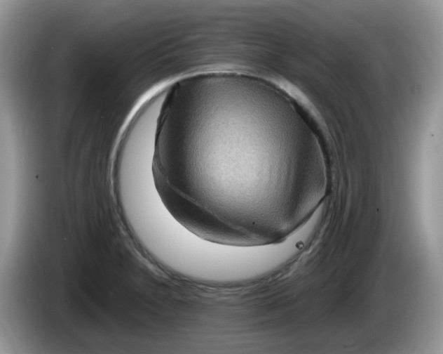 X0000086231230200704121909