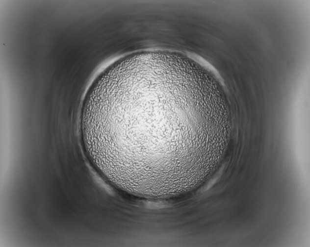 X0000086231231200704121909