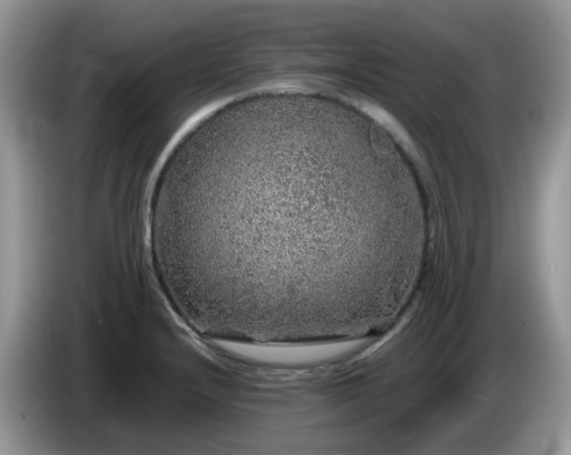 X0000086231232200704121909