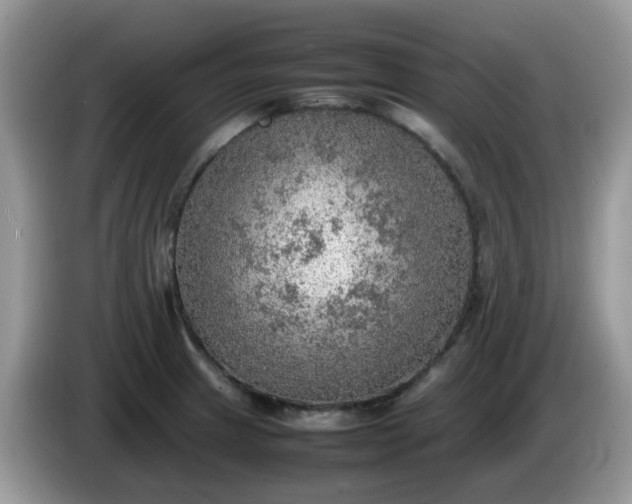 X0000086231233200704121909