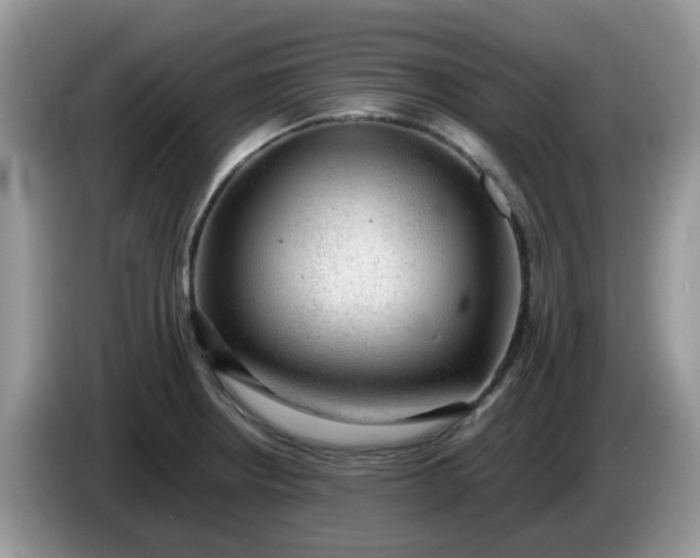 X0000086231234200704121909