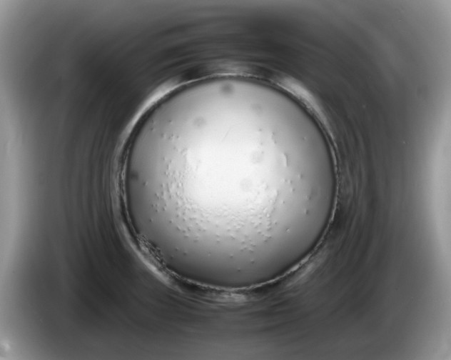 X0000086231235200704121909