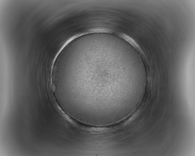 X0000086231236200704121909