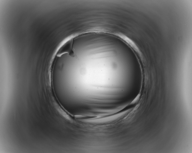 X0000086231238200704121909