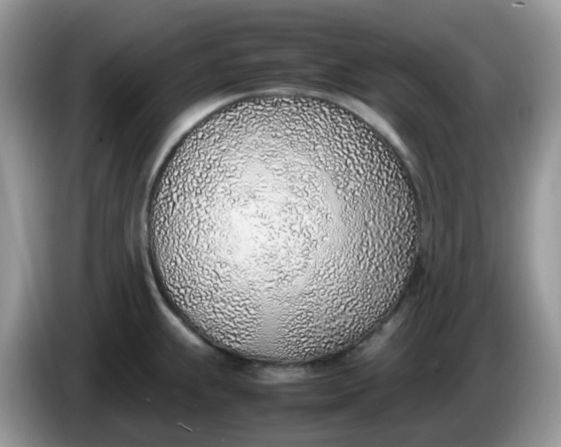 X0000086231239200704121909