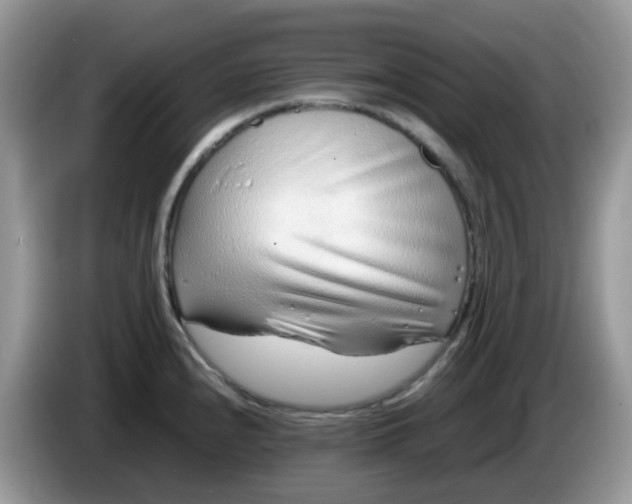 X0000086231240200704121909