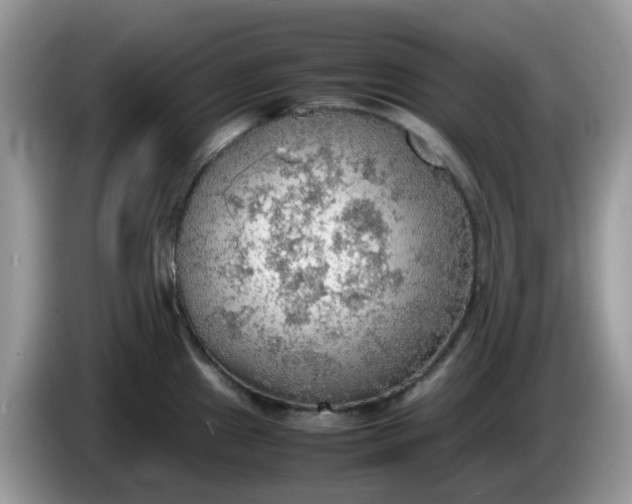 X0000086231241200704121909