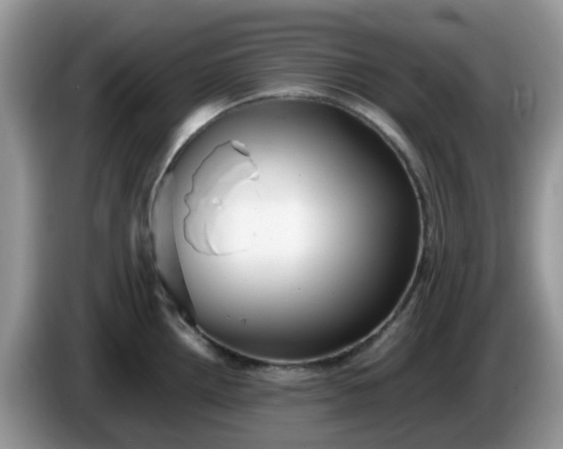 X0000086231242200704121909