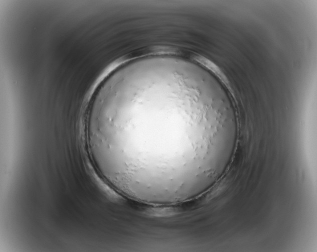 X0000086231243200704121909