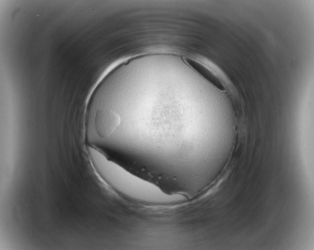 X0000086231244200704121909