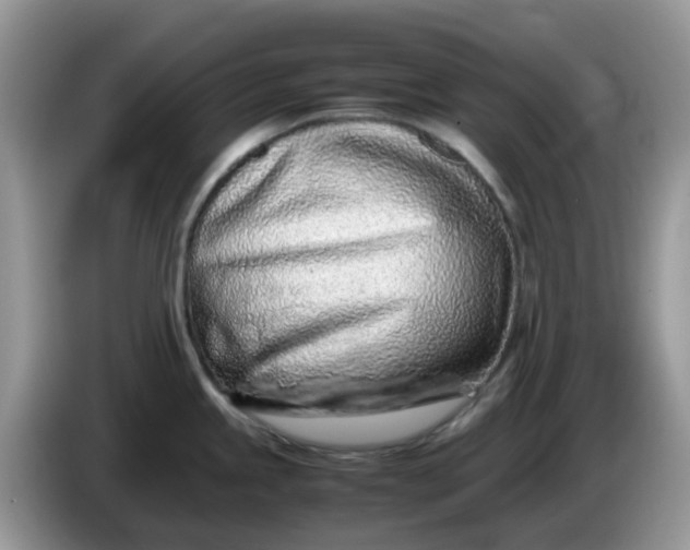 X0000086231245200704121909