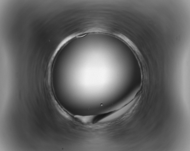 X0000086231246200704121909