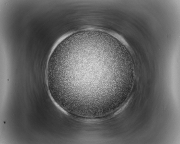 X0000086231247200704121909