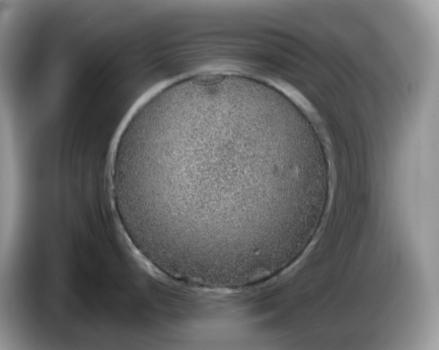 X0000086231248200704121909