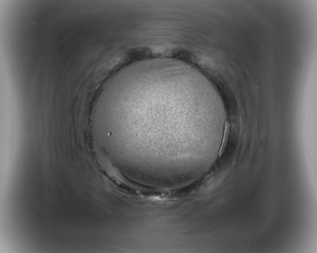 X0000086231249200704121909