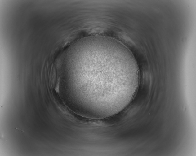 X0000086231250200704121909