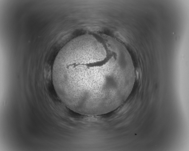 X0000086231251200704121909