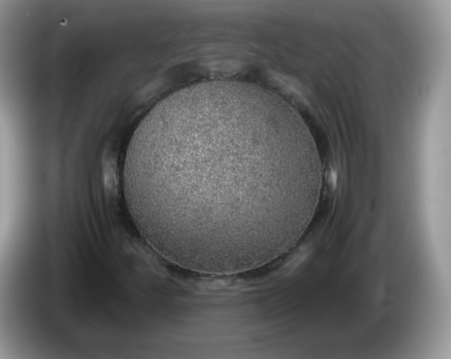 X0000086231252200704121909