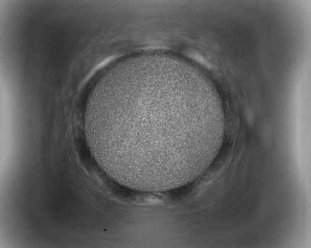 X0000086231255200704121909