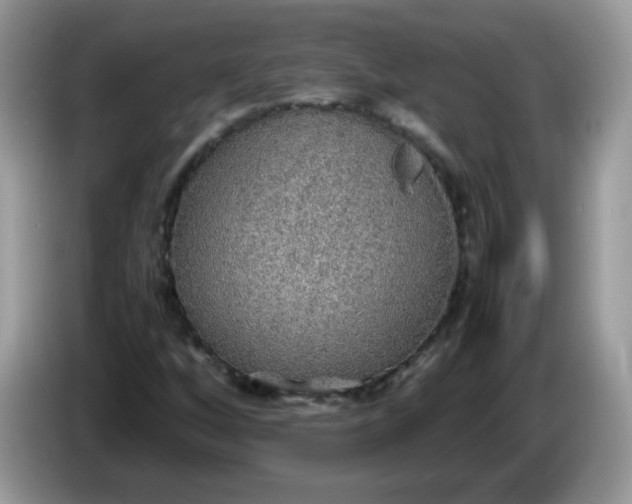 X0000086231256200704121909