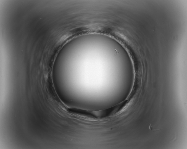 X0000086231257200704121909