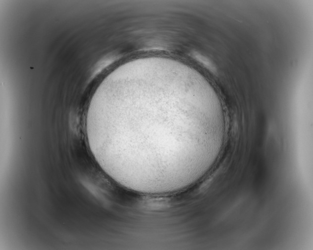 X0000086231258200704121909