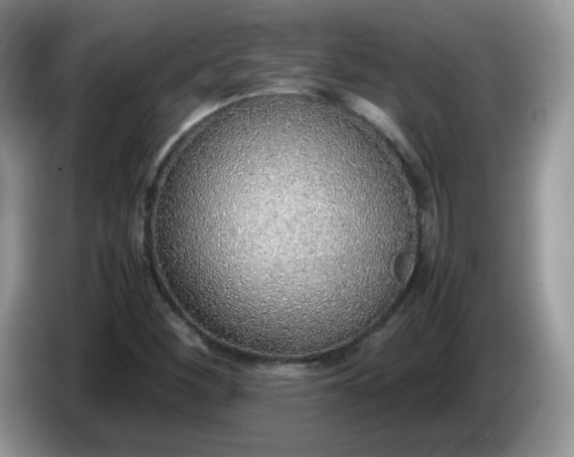 X0000086231260200704121909