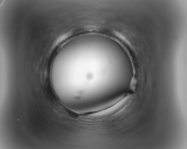 X0000086231261200704121909