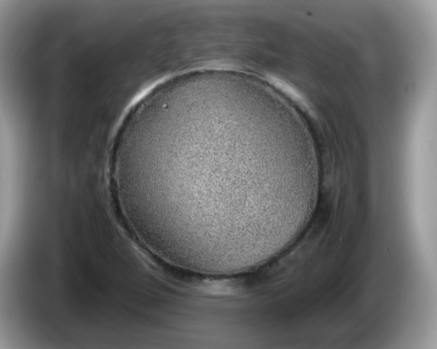 X0000086231264200704121909