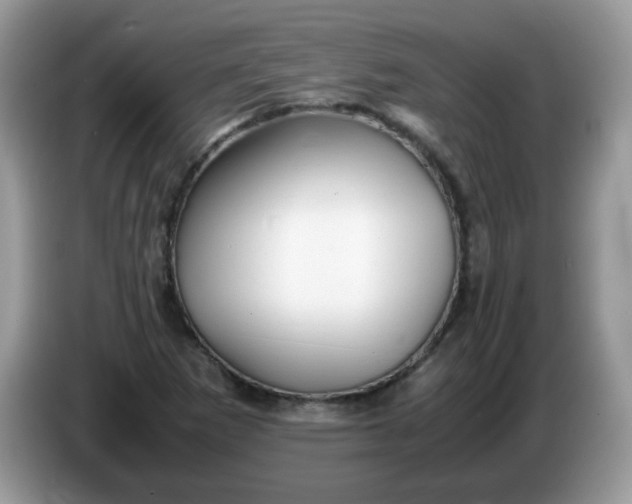 X0000086231265200704121909