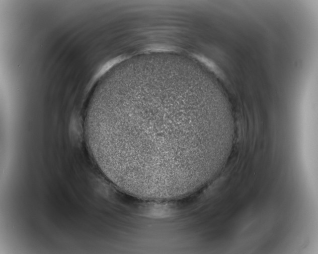 X0000086231266200704121909