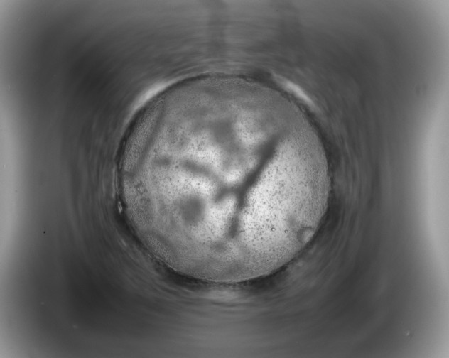 X0000086231267200704121909