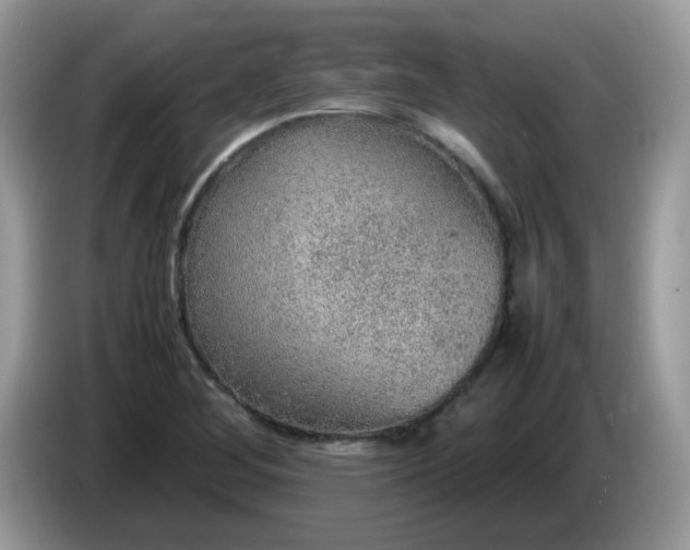 X0000086231268200704121908