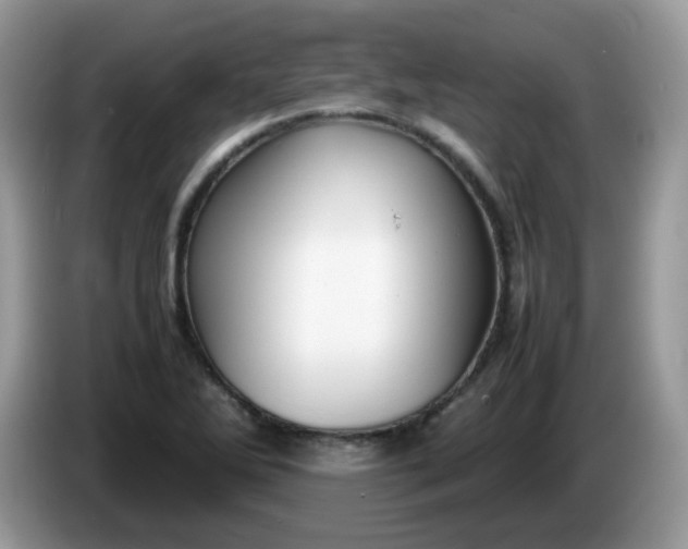 X0000086231270200704121908