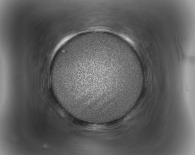 X0000086231271200704121908