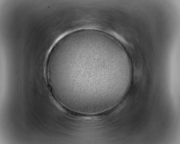 X0000086231272200704121908