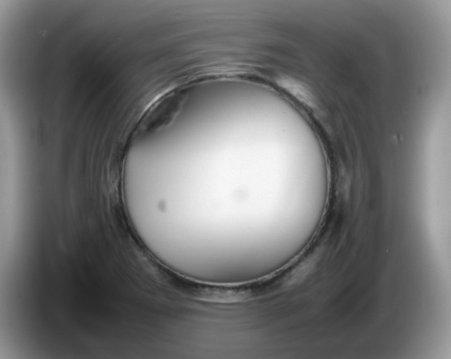 X0000086231273200704121908