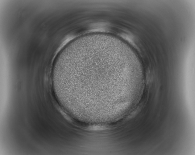 X0000086231274200704121908