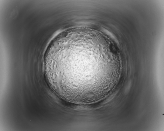 X0000086231275200704121908