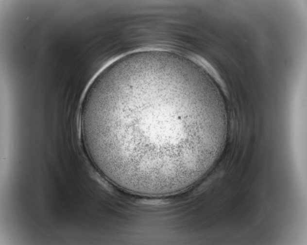 X0000086231276200704121908