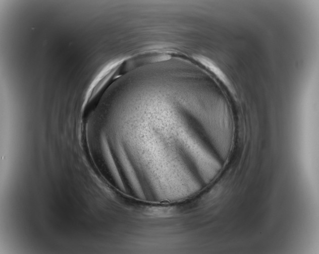 X0000086231277200704121908