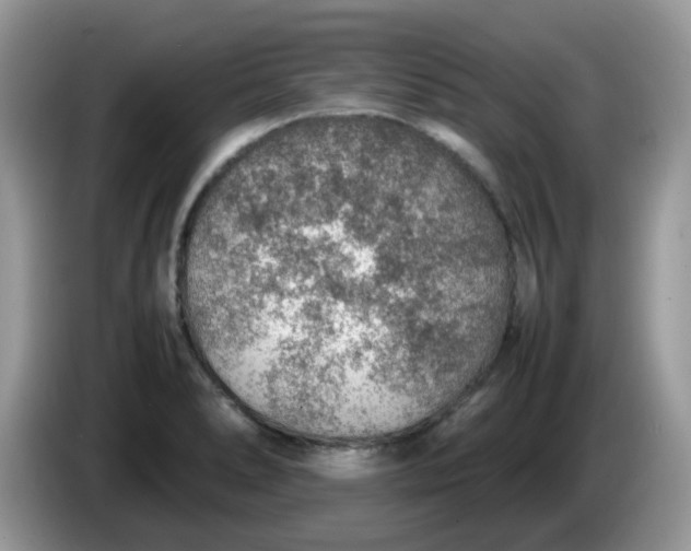 X0000086231278200704121908