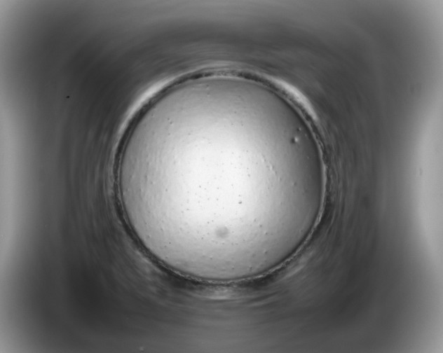 X0000086231279200704121908