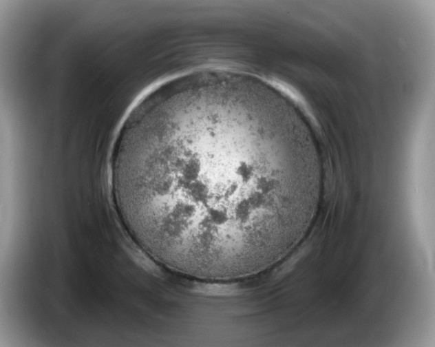 X0000086231280200704121908